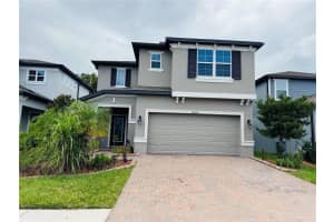 19228 Old Spanish Rd, TAMPA