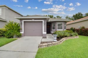 27141 La Jolla Way, WESLEY CHAPEL