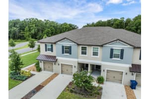 17482 Nectar Flume Dr, LAND O LAKES