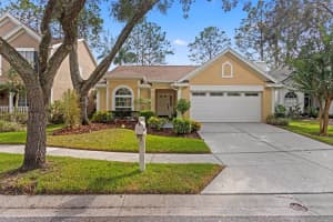 9415 Oak Meadow Ct, TAMPA
