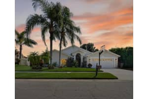 3238 Cullendale Dr, TAMPA