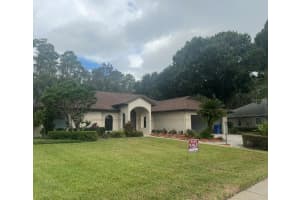 18306 Pleasant Ridge Pl, LUTZ 18306 Pleasant Ridge Pl, LUTZ