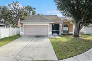 4704 Stove Pl, VALRICO