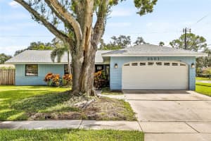 5601 Denver St Ne, ST PETERSBURG