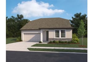 10108 Hidden Hammock Loop, PARRISH