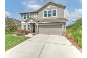 10701 Breaking Rocks Dr, TAMPA