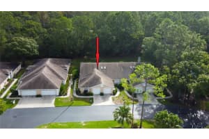 4409 Connery Ct, PALM HARBOR 4409 Connery Ct, PALM HARBOR