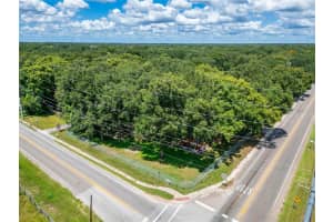 10516 579 Hwy, THONOTOSASSA