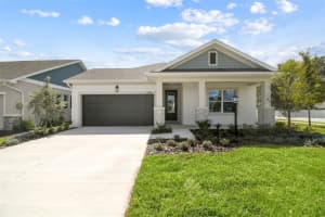 11309 Hardwood Hammock Ln, RIVERVIEW