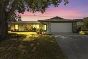 5816 Silver Moon Ave, TAMPA