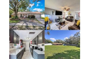 3615 Sugarcreek Dr, TAMPA