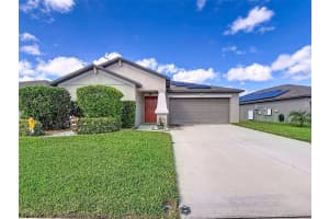 13360 Willow Bluestar Loop, RIVERVIEW