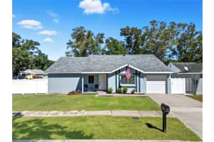 12421 Pepperfield Dr, TAMPA 12421 Pepperfield Dr, TAMPA