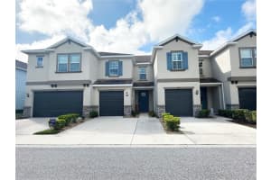 6642 Rocky Park St, TAMPA