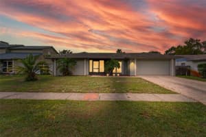 3903 Dunaire Dr, VALRICO