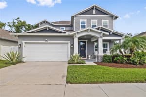 3308 Glen Meadow Ct, TAMPA 3308 Glen Meadow Ct, TAMPA