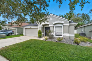 5904 War Admiral Dr, WESLEY CHAPEL