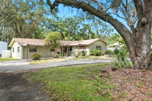 21817 Dupree Dr, LAND O LAKES