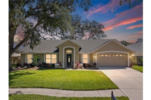 5311 Windbrush Dr, TAMPA