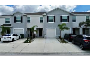 33066 Major Oak Dr, WESLEY CHAPEL