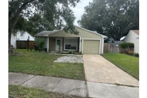 3842 Nighthawk Dr, PALM HARBOR