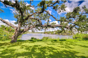 3230 N Rome Ave, TAMPA