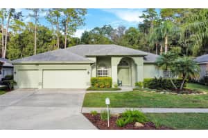 4405 Worthington Cir, PALM HARBOR 4405 Worthington Cir, PALM HARBOR