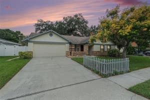 1741 Shady Leaf Dr, VALRICO 1741 Shady Leaf Dr, VALRICO