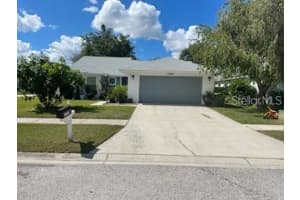 13202 Pine Creek Circle, RIVERVIEW