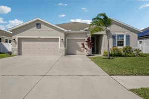 13417 Lakeview Oaks Ln, RIVERVIEW