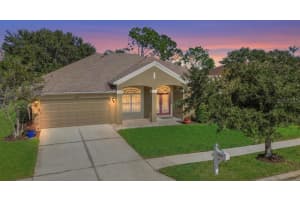 5602 Riva Ridge Dr, WESLEY CHAPEL 5602 Riva Ridge Dr, WESLEY CHAPEL
