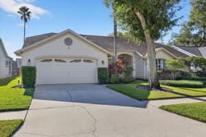 9203 Sunflower Dr, TAMPA