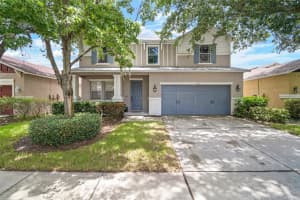 11132 Running Pine Dr, RIVERVIEW