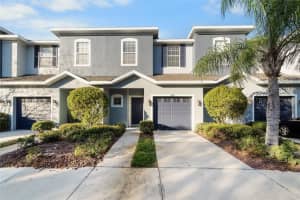 4425 Amberly Oaks Ct, TAMPA 4425 Amberly Oaks Ct, TAMPA