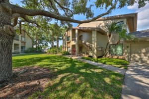 3095 Landmark Blvd #2005, PALM HARBOR 3095 Landmark Blvd #2005, PALM HARBOR