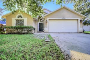 18904 Nest Fern Cir, TAMPA 18904 Nest Fern Cir, TAMPA