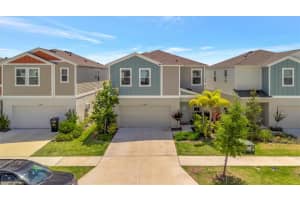 12950 Pasture Woods Pl, LITHIA