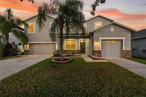 20017 Bright Oak Ct, TAMPA