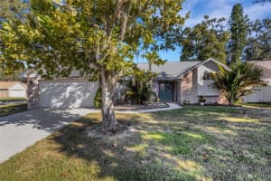 1602 Dumont Dr, VALRICO