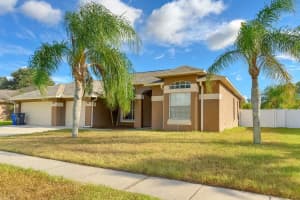 12032 Timberhill Dr, RIVERVIEW