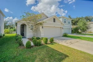 10853 Trailing Vine Dr, TAMPA 10853 Trailing Vine Dr, TAMPA