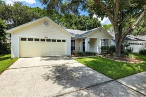 17629 Esprit Dr, TAMPA 17629 Esprit Dr, TAMPA