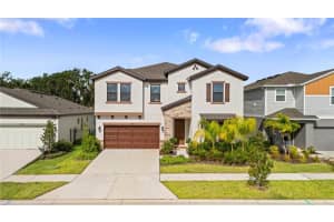 14868 Summer Branch Dr, LITHIA