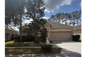 10211 Goldenbrook Way, TAMPA