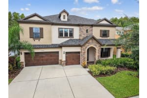 32035 Watoga Loop, WESLEY CHAPEL