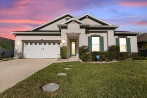 4802 Butler National Dr, WESLEY CHAPEL 4802 Butler National Dr, WESLEY CHAPEL