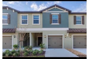 11087 Wishing Cloud Rd, LAND O LAKES