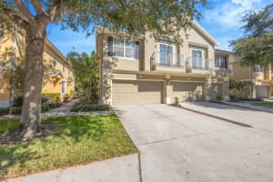 6770 Breezy Palm Dr, RIVERVIEW