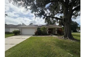 1702 Horseshoe Dr, PLANT CITY 1702 Horseshoe Dr, PLANT CITY