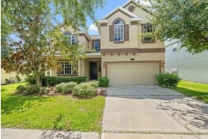 10909 Observatory Way, TAMPA 10909 Observatory Way, TAMPA